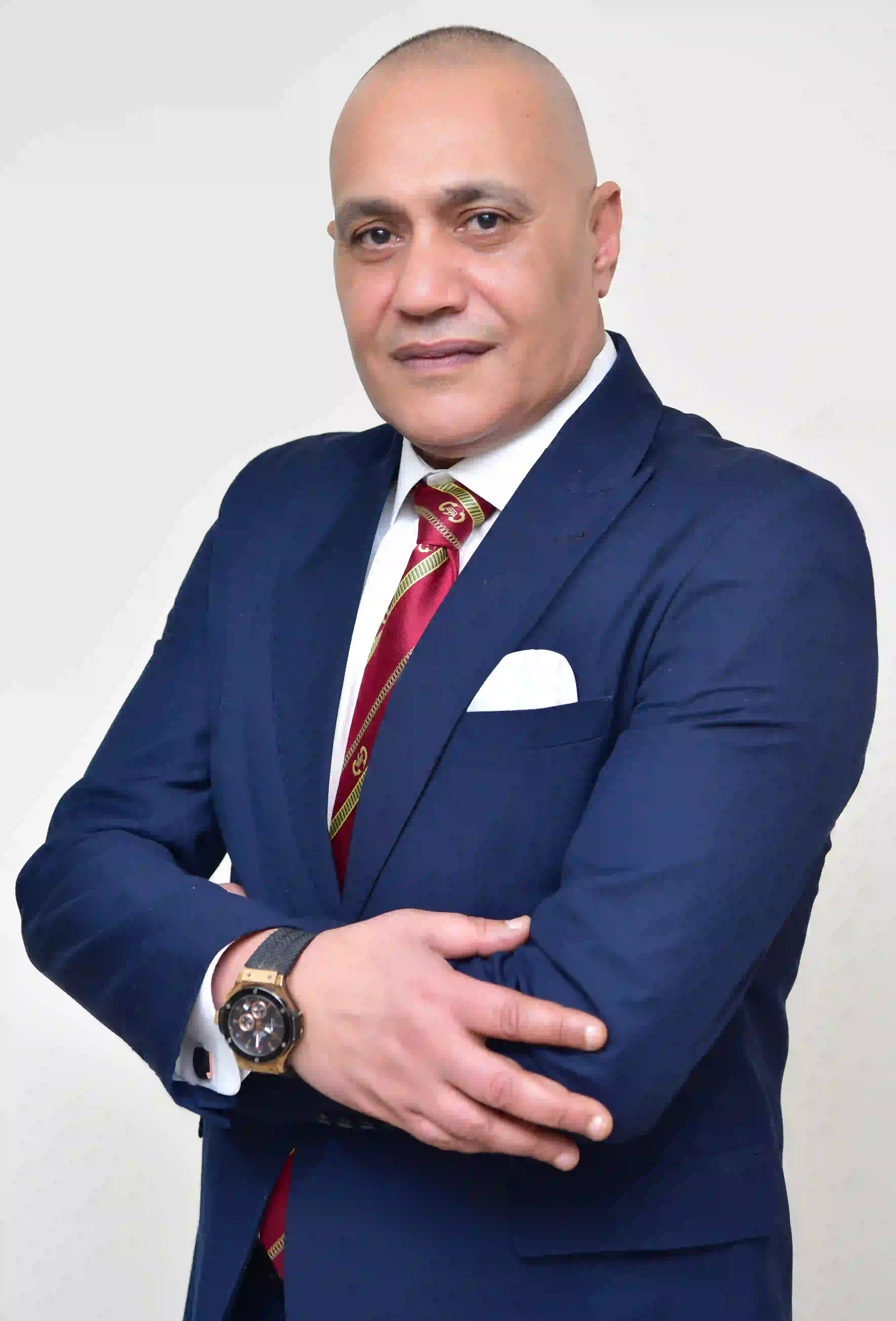 Vice Chairman of the Board of Directors Counselor Alaa El-Sayed