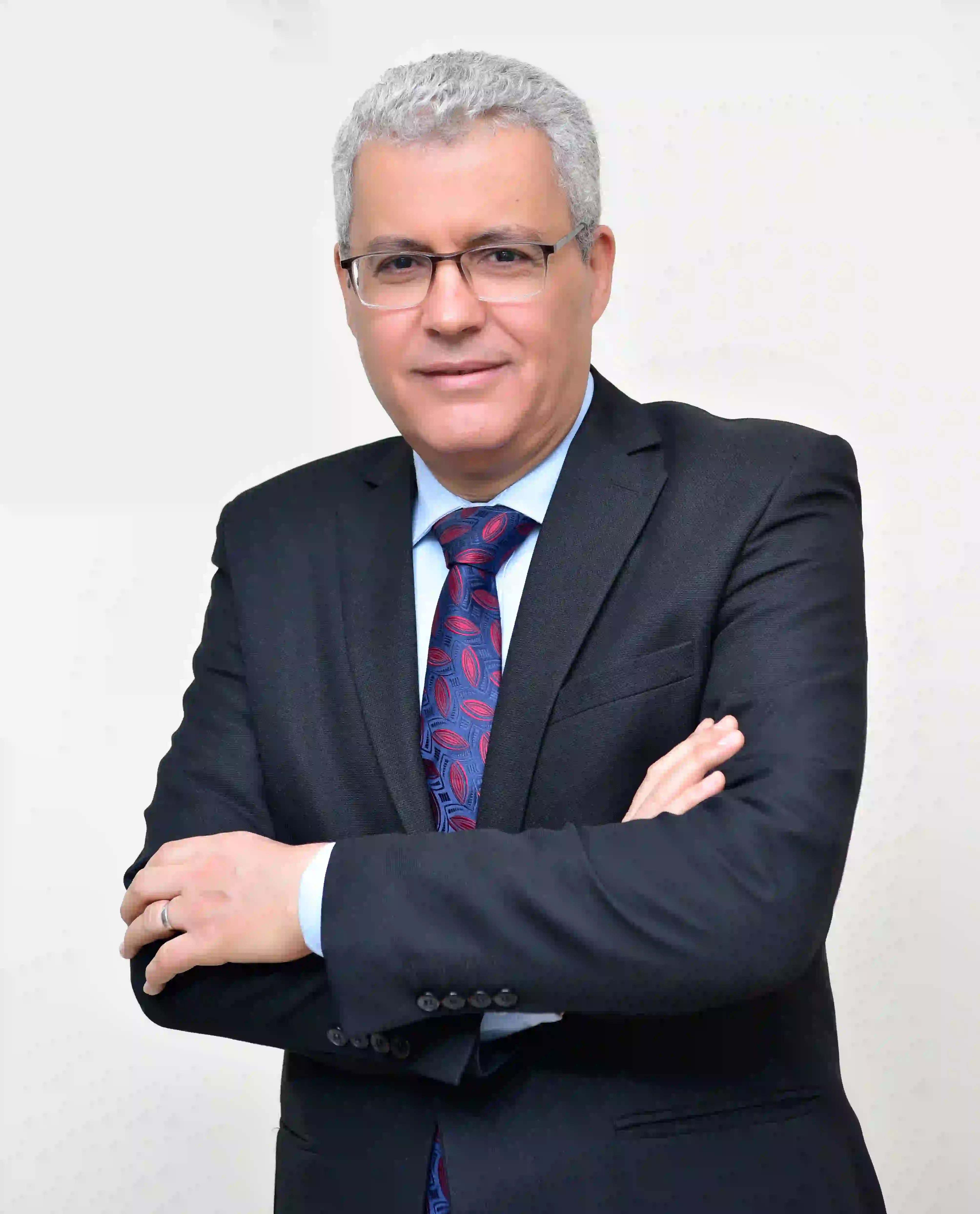 Mr. Mohamed Ayoub