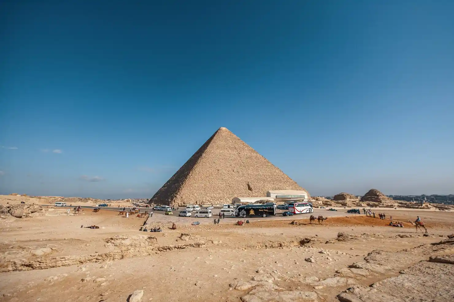Egyptian Citizenship